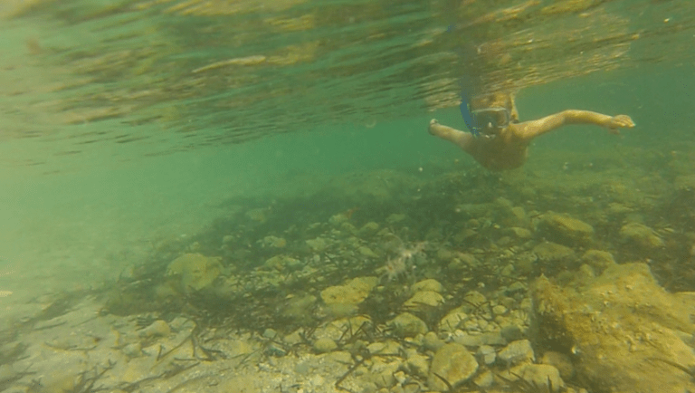 Skærmbillede 2016-07-09 kl. 09.54.32